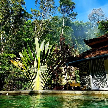 Mi Casa - The Gem Of Ijen Hotel Banyuwangi Kültér fotó