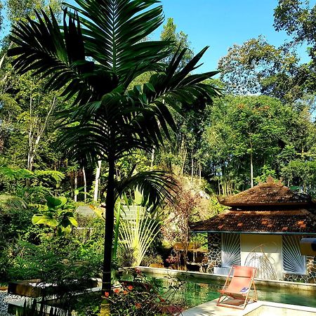 Mi Casa - The Gem Of Ijen Hotel Banyuwangi Kültér fotó