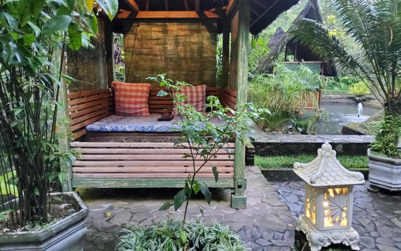 Mi Casa - The Gem Of Ijen Hotel Banyuwangi Kültér fotó
