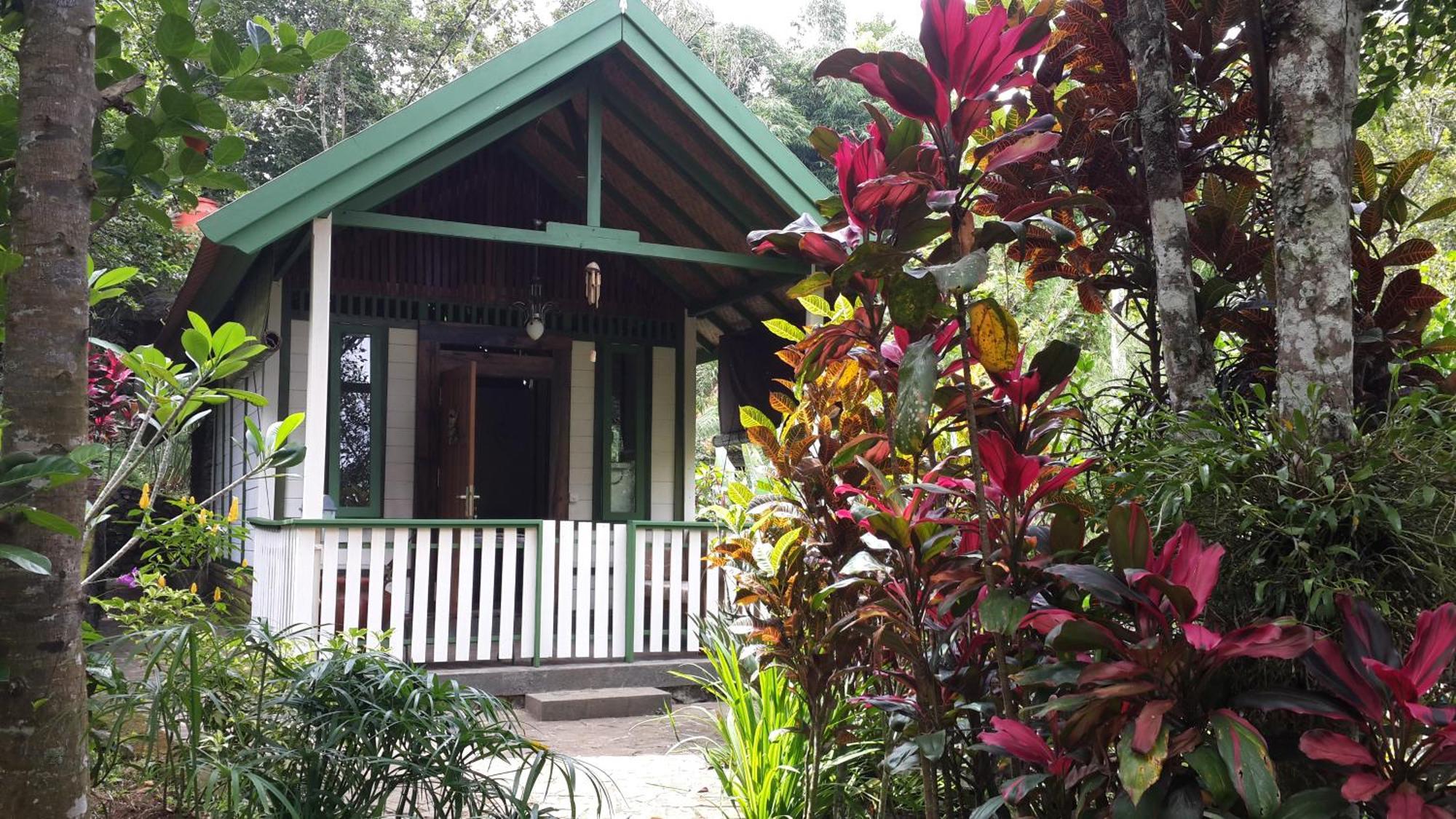Mi Casa - The Gem Of Ijen Hotel Banyuwangi Kültér fotó