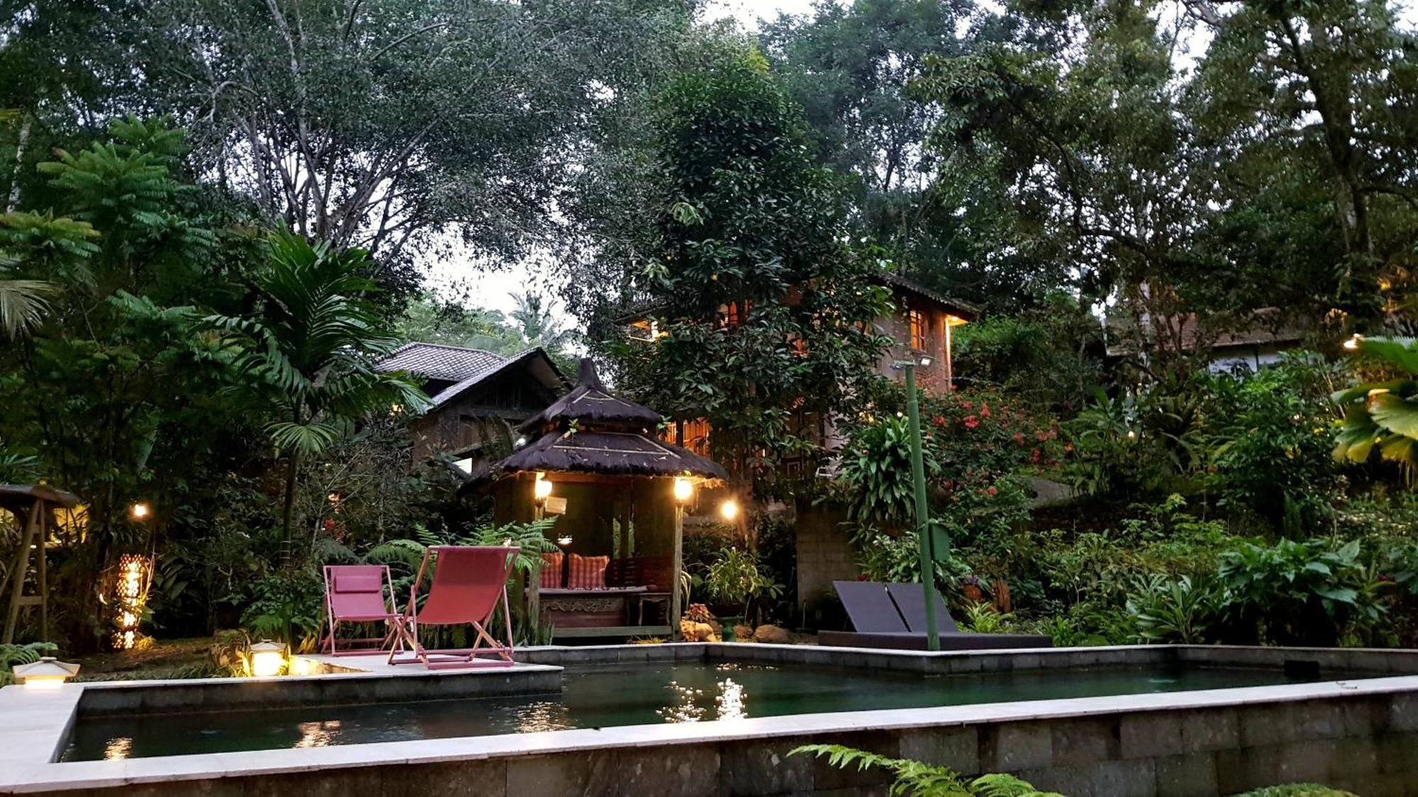 Mi Casa - The Gem Of Ijen Hotel Banyuwangi Kültér fotó